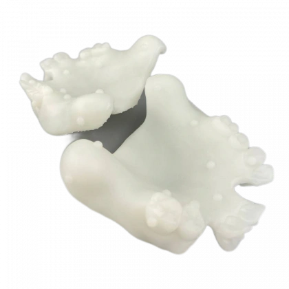 Dental X-Ray фотополимерная смола Gorky Liquid